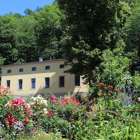 Ferienwohnung Goldgrund15 Meißen Zewnętrze zdjęcie