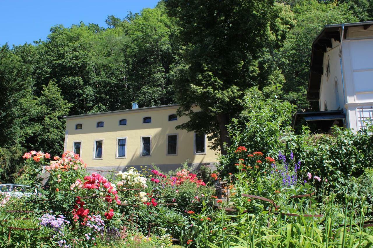 Ferienwohnung Goldgrund15 Meißen Zewnętrze zdjęcie